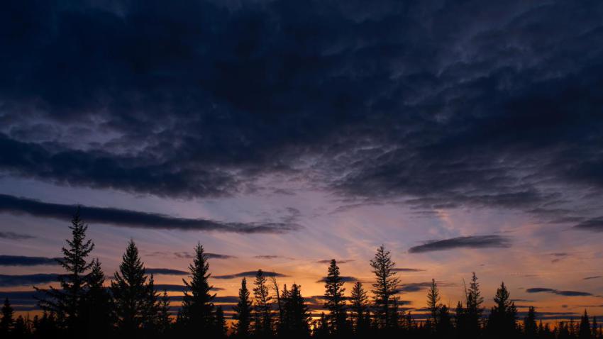 Sunset at Weaselhead Park