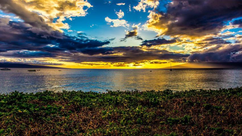 Sunset in Maui