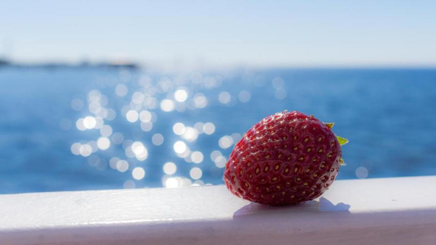 Swedish Strawberry