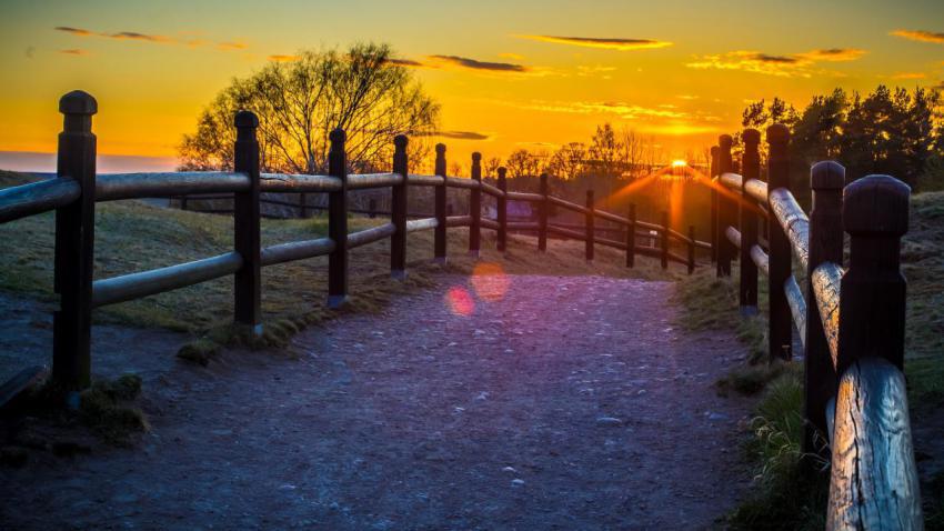 Swedish Sunset