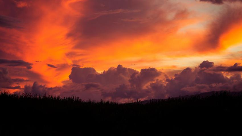 Tangerines in the Sky