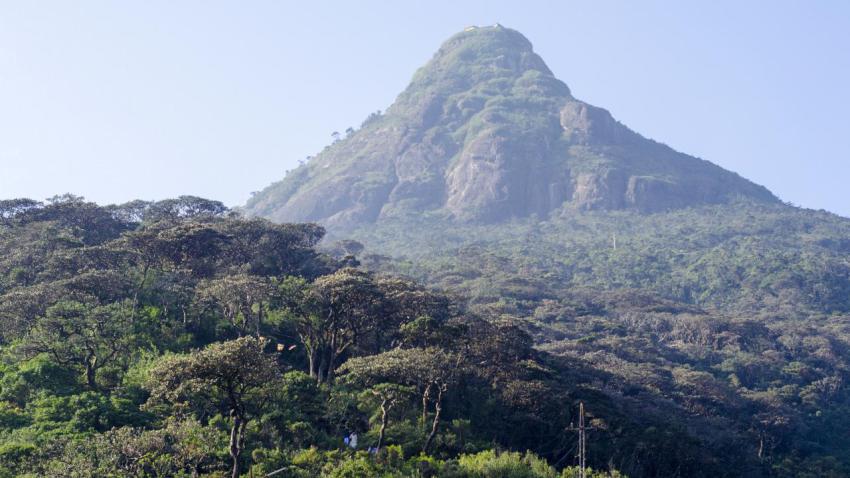The Adam's Peak