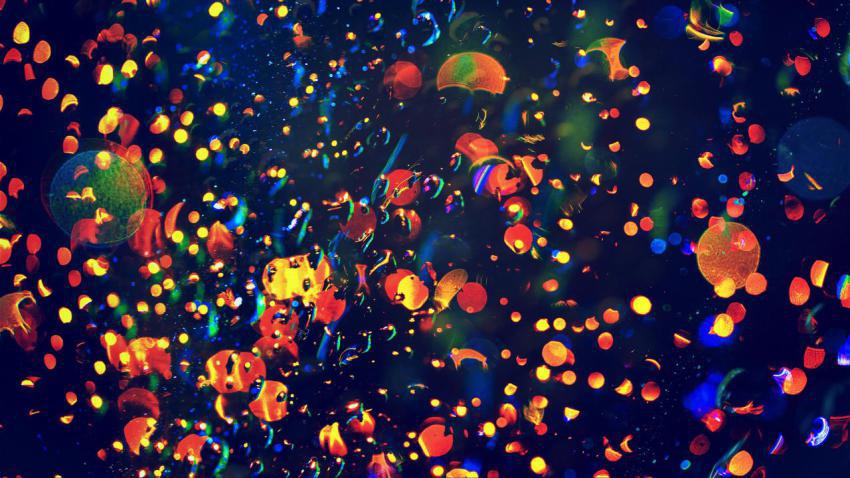 The Color of Rain