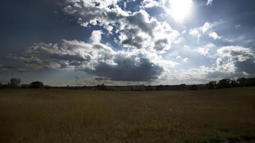The Field