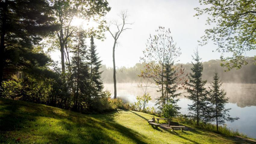 The Morning Sun