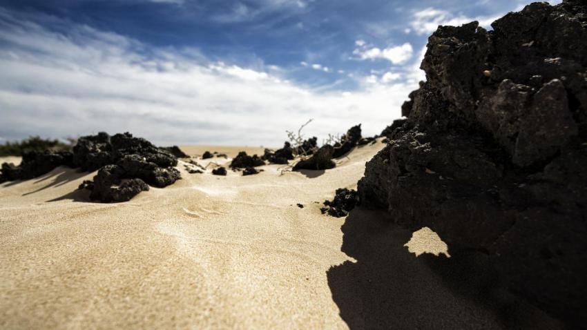 The Sandpit