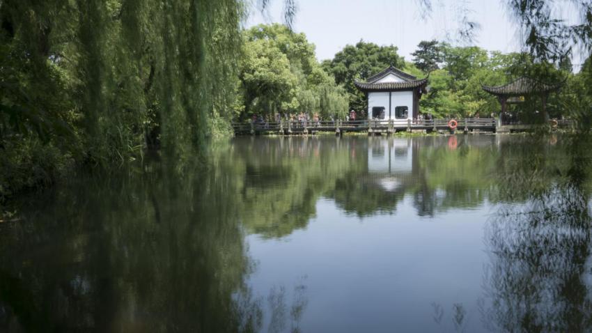 The Pond Mirror