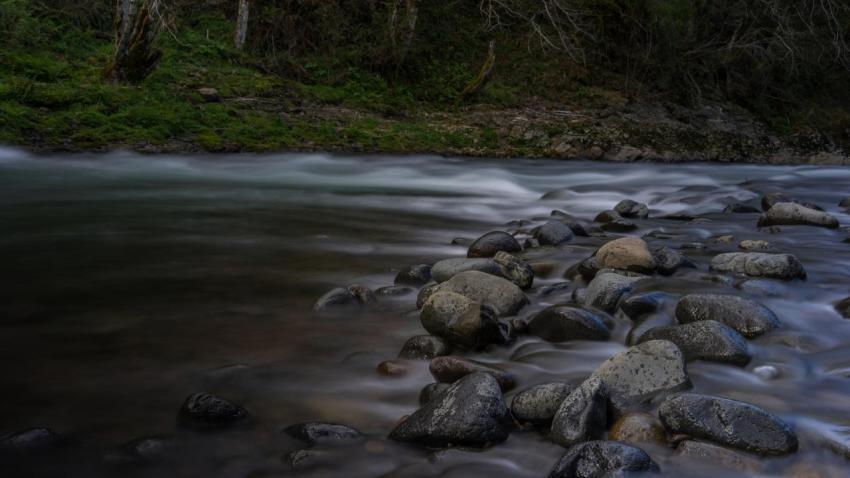 The River
