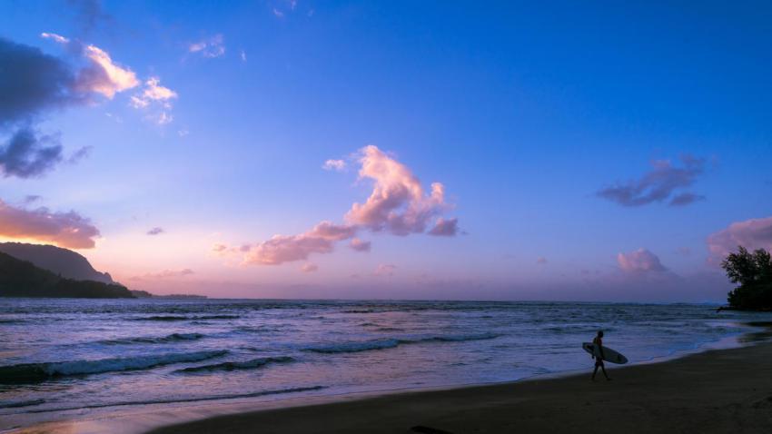 The Surfer of Hanalei