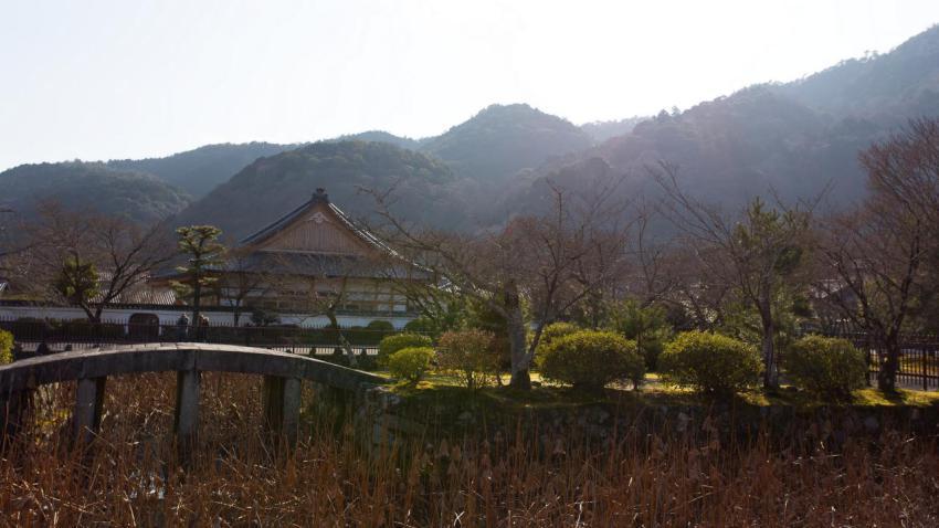 The Zen Mountains