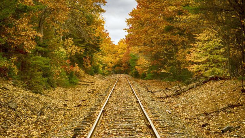 Tracks To Nowhere