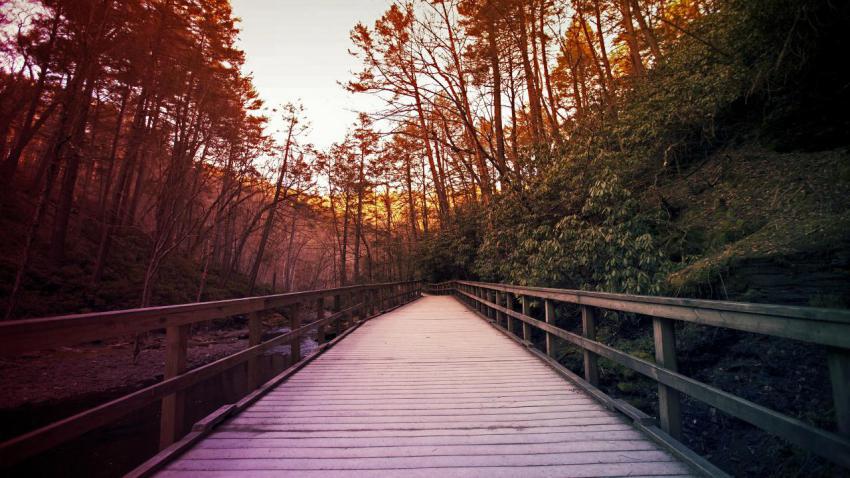 Walkway to Heaven