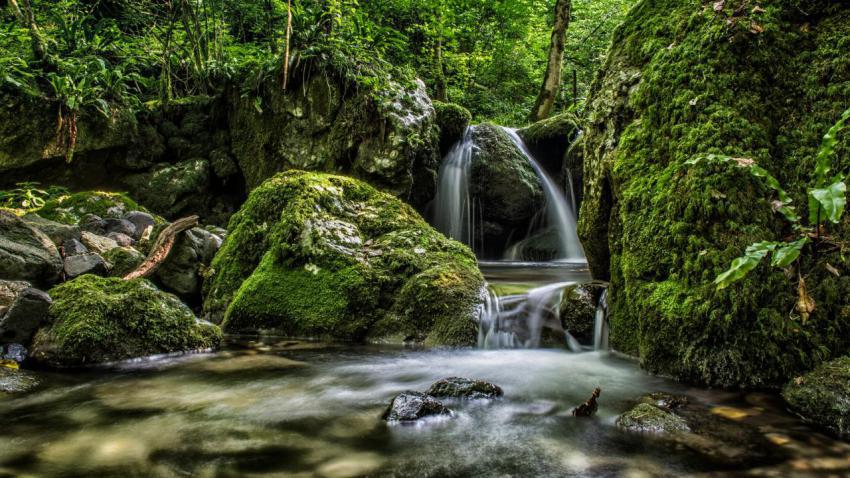 Water and wild Nature