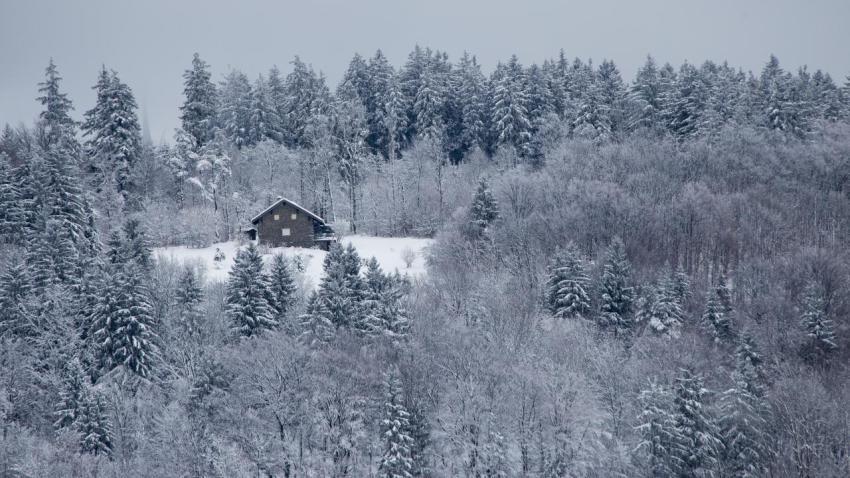 Winter Cabin