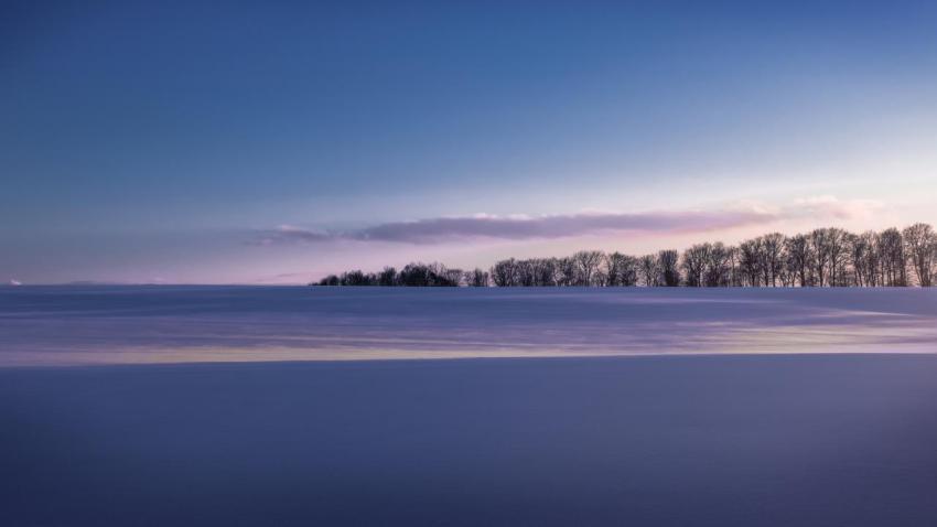 Winter Fields