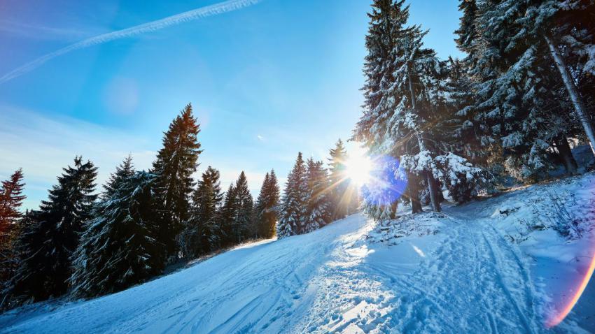 Winter Walk
