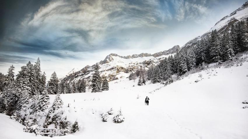 Winter Wonderland