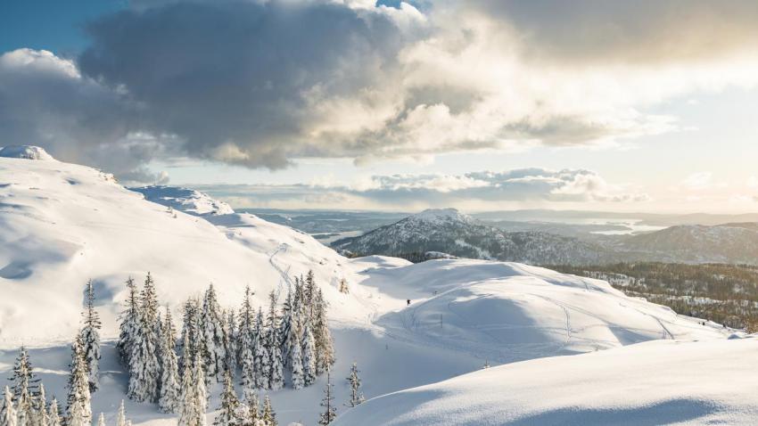 Wintery Goodness