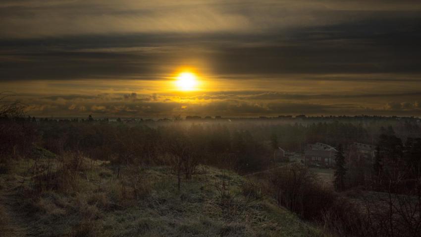 Yellow sunrise