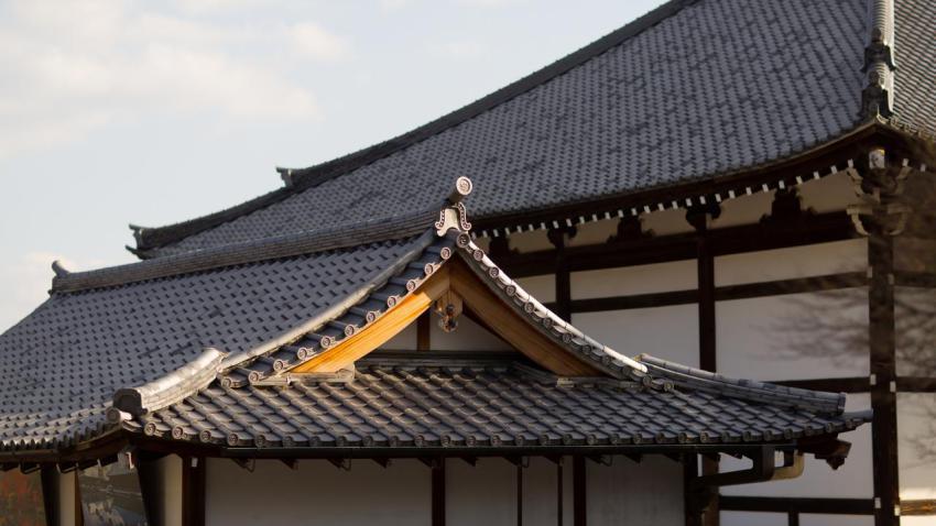 Zen Rooftops