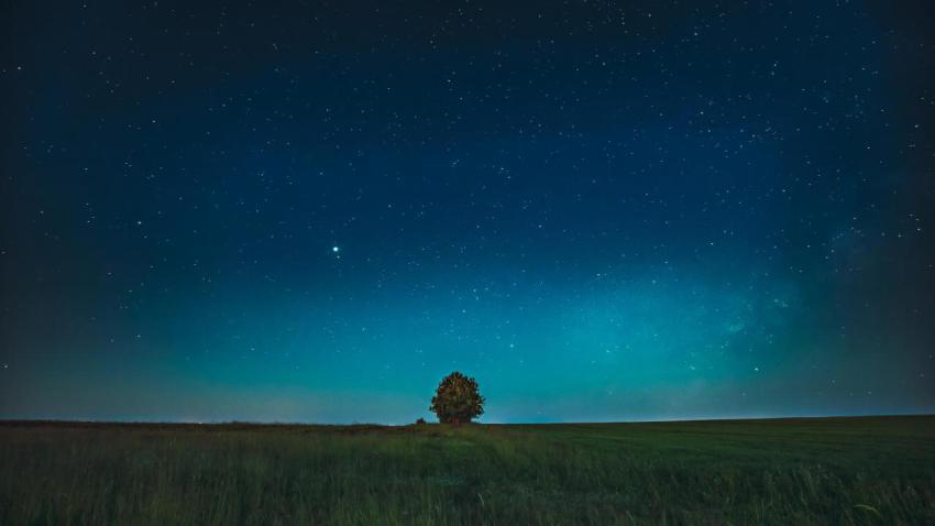 Blue night starry sky above lonely tree in meadow 2023 11 27 04 53 07 utc