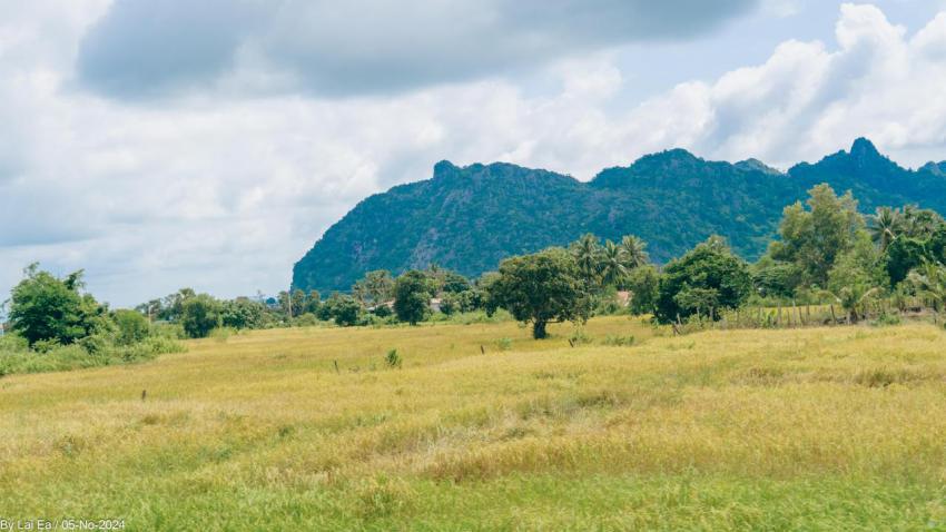 Khmer Natural, Kampot Province 87
