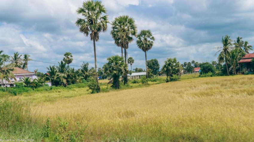 Khmer Natural, Kampot Province 74