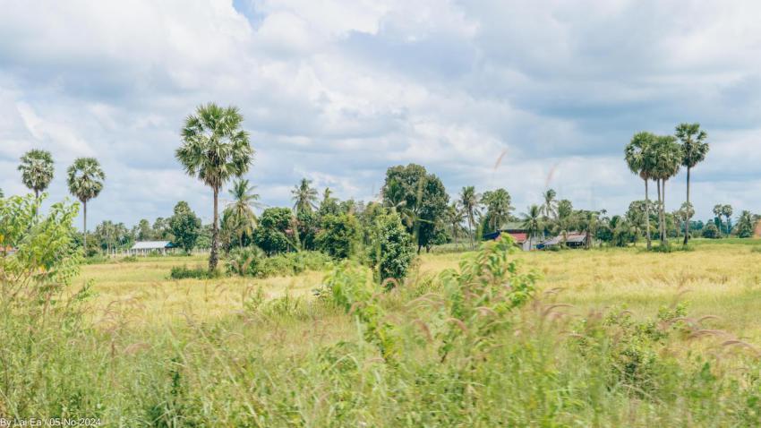 Khmer Natural, Kampot Province 73