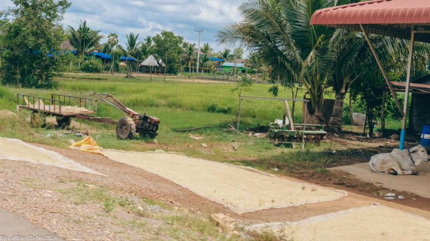 Khmer Natural, Kampot Province 71