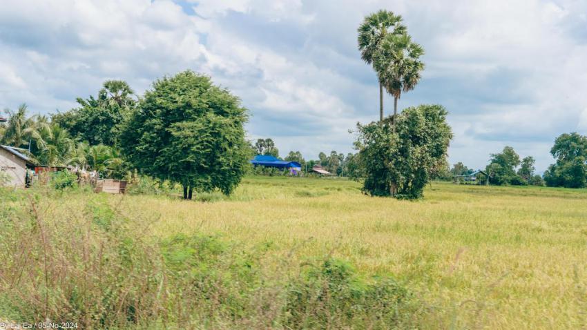 Khmer Natural, Kampot Province 66
