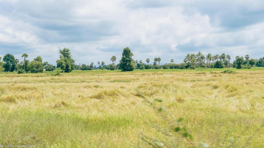 Khmer Natural, Kampot Province 62