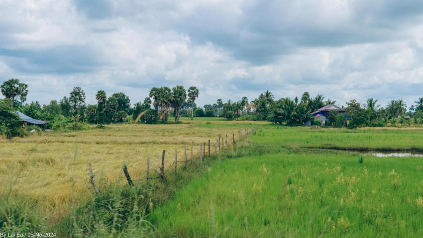Khmer Natural, Kampot Province 49