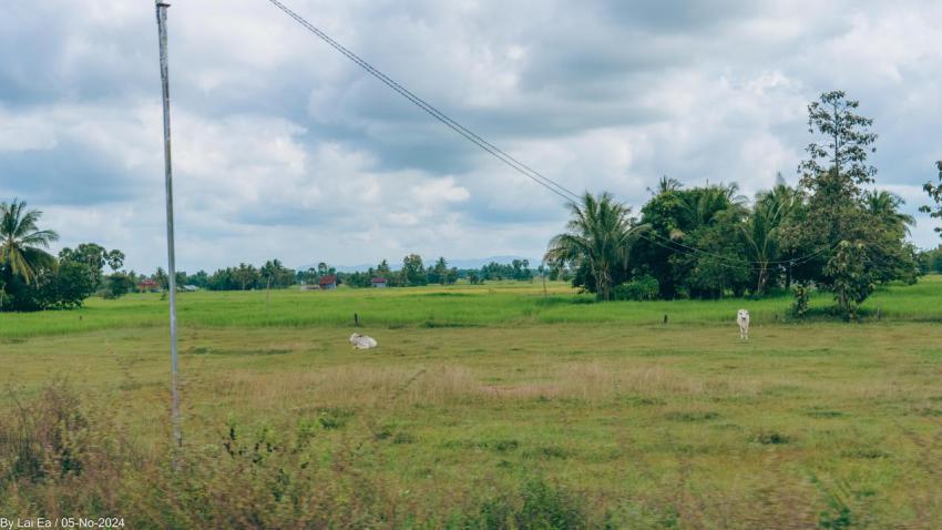 Khmer Natural, Kampot Province 26