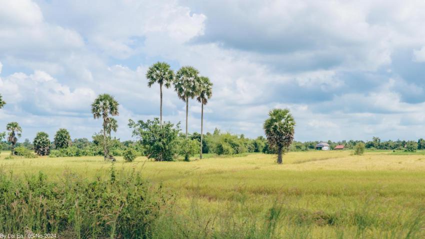 Khmer Natural, Kampot Province 13