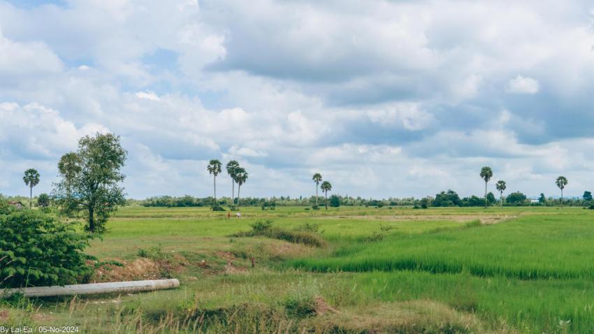 Khmer Natural, Kampot Province 6