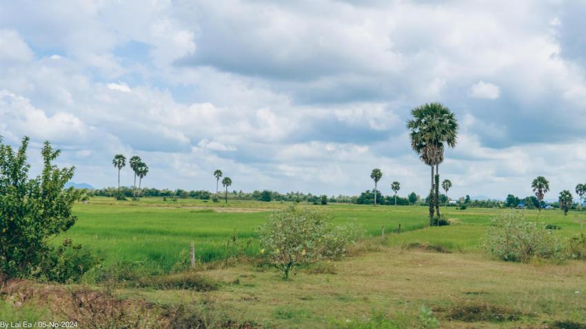 Khmer Natural, Kampot Province 4