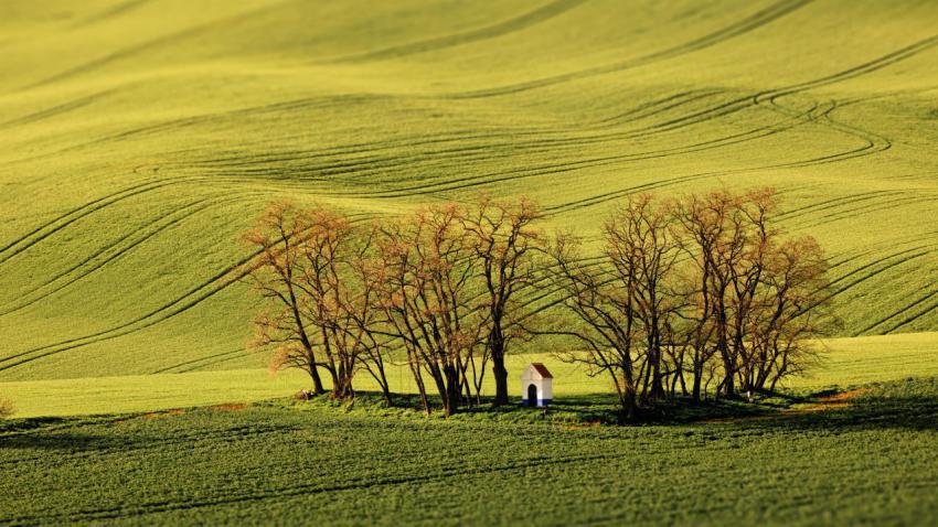 Landscape of hills covered in farm field crops on 2023 11 27 05 24 32 utc