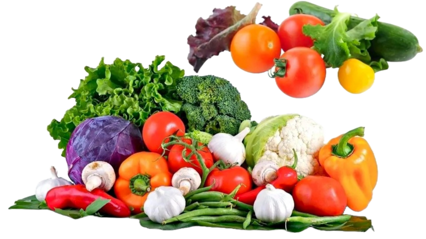 Vegetables png file free download (frefile com) 219
