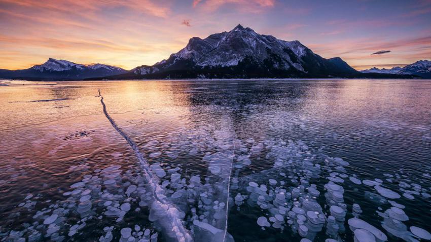 FrozenBubblesAlberta