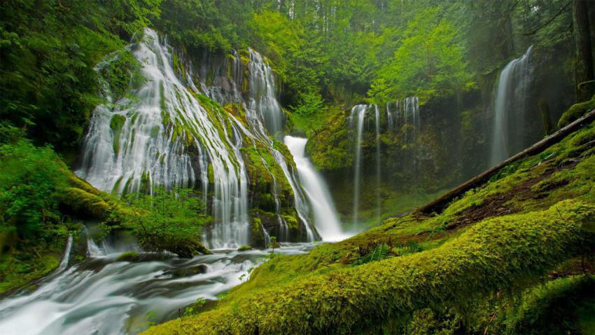 GiffordPinchot 1920x1080