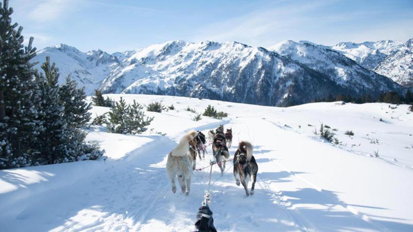 GrandeOdyssee