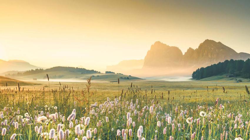ItalyDolomitesSeiserAlm