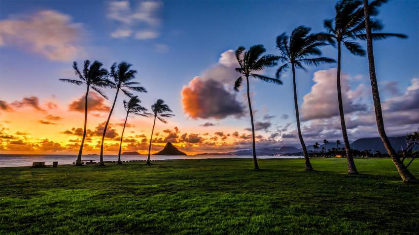 KaneoheHI