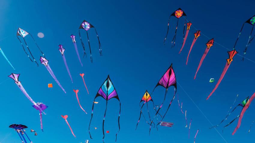 KiteDay