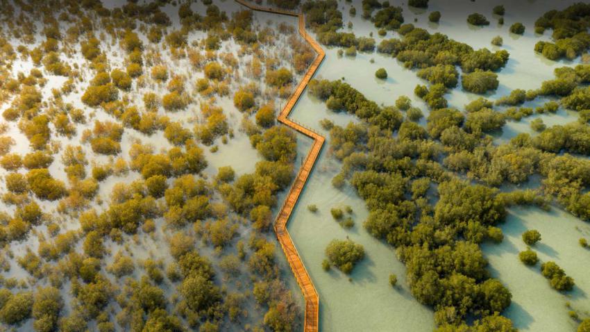 MangrovePark