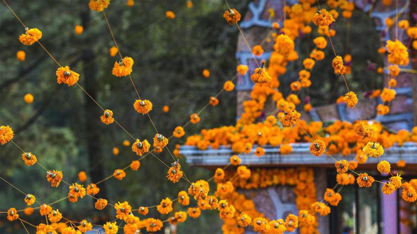 MarigoldsLosMuertos