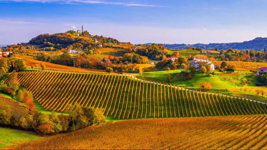 ProseccoHills