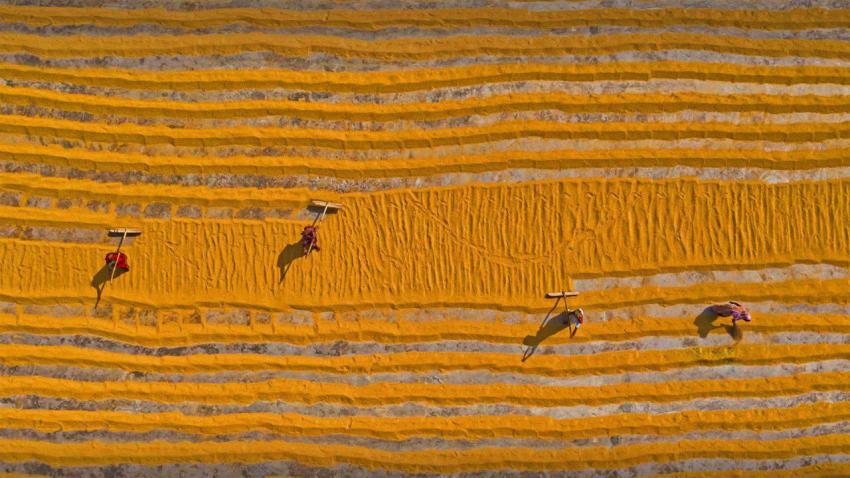RiceBangladesh
