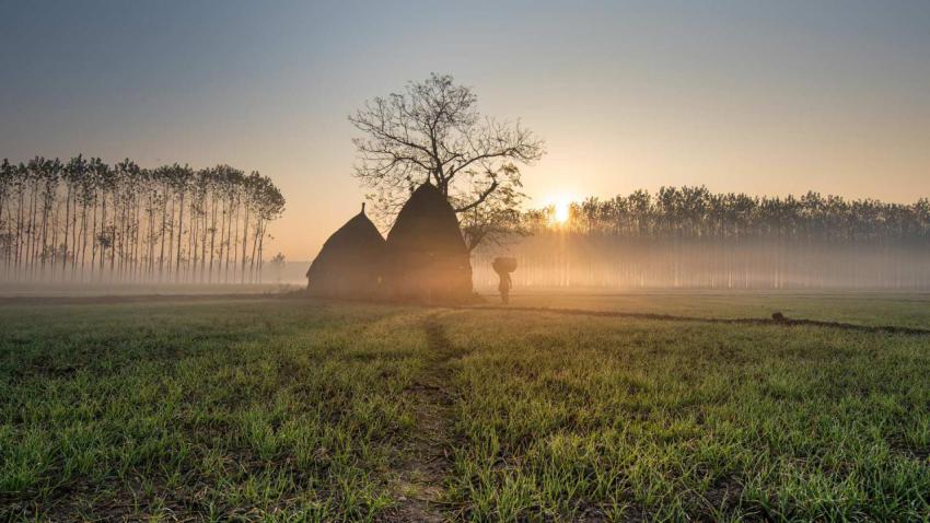 RuralPunjab