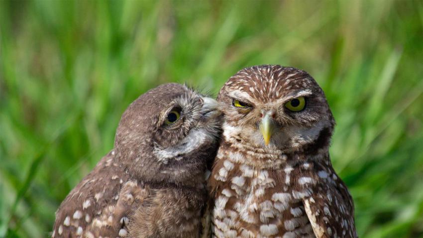 TenderMoment
